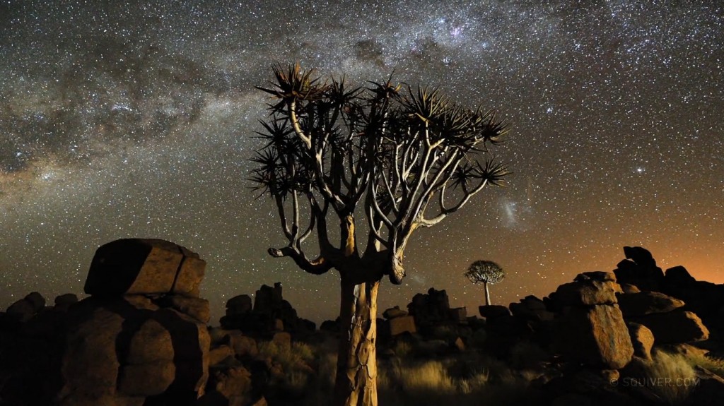 Cena de Namibian Nights